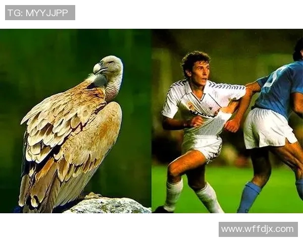 盘点十大经典足球球星绰号，解读传奇背后的故事